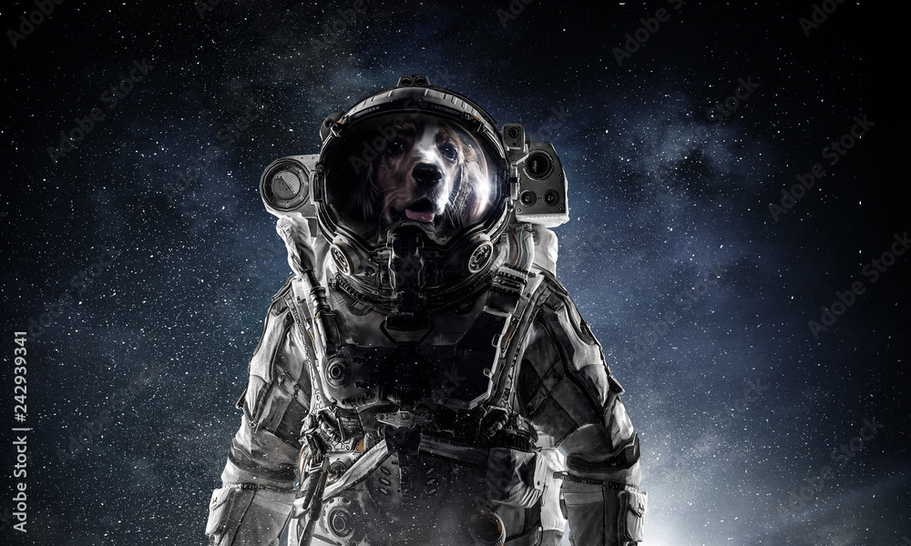 Fototapeta premium First trip to space. Mixed media