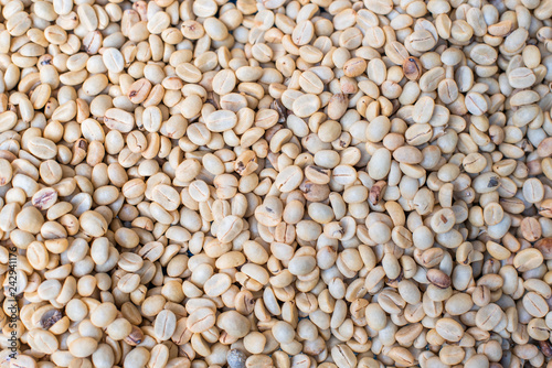 Fresh coffee bean.