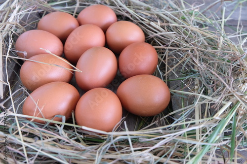Chicken eggs in nest of straw on old wooden background.