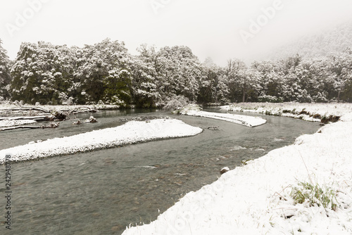 A surprise late Spring snow storm in the Eglinton Valley, Fiordland National Park, New Zealand. The Eglinton River running through the snow-covered rainforest. photo