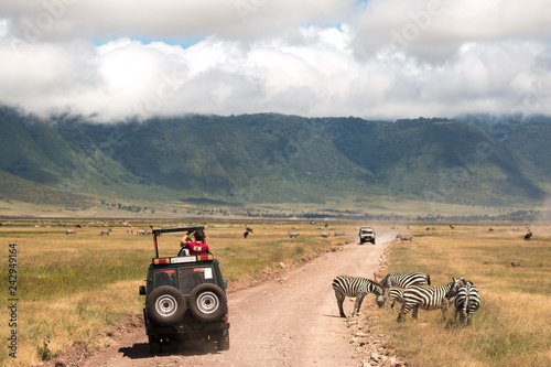 Photography Zebra and Jeep in Ngorongoro Conservation Area Tanzania