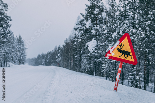 Reindeeer road sign warning