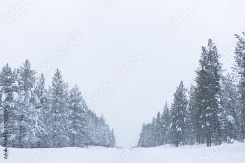 Winter road © Morgan Grip