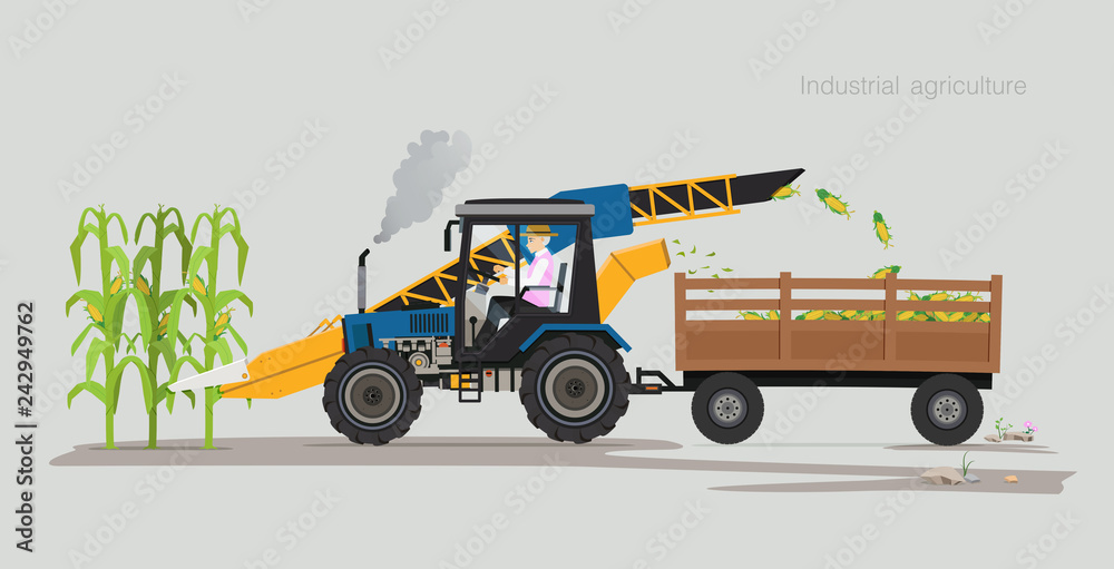 Obraz premium Farmers are harvesting agricultural products using machines.