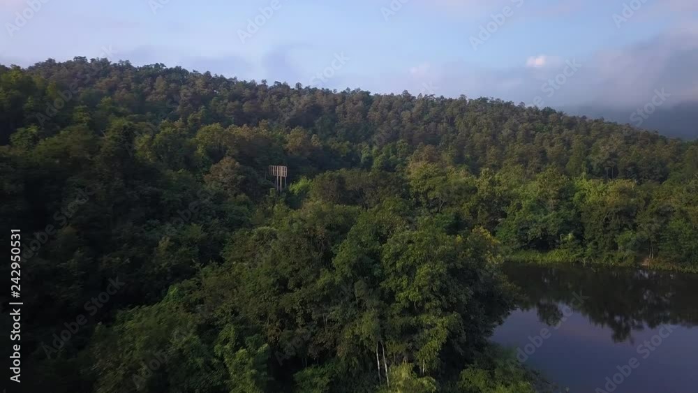 look for a forest in Chiang Mai, Thailand