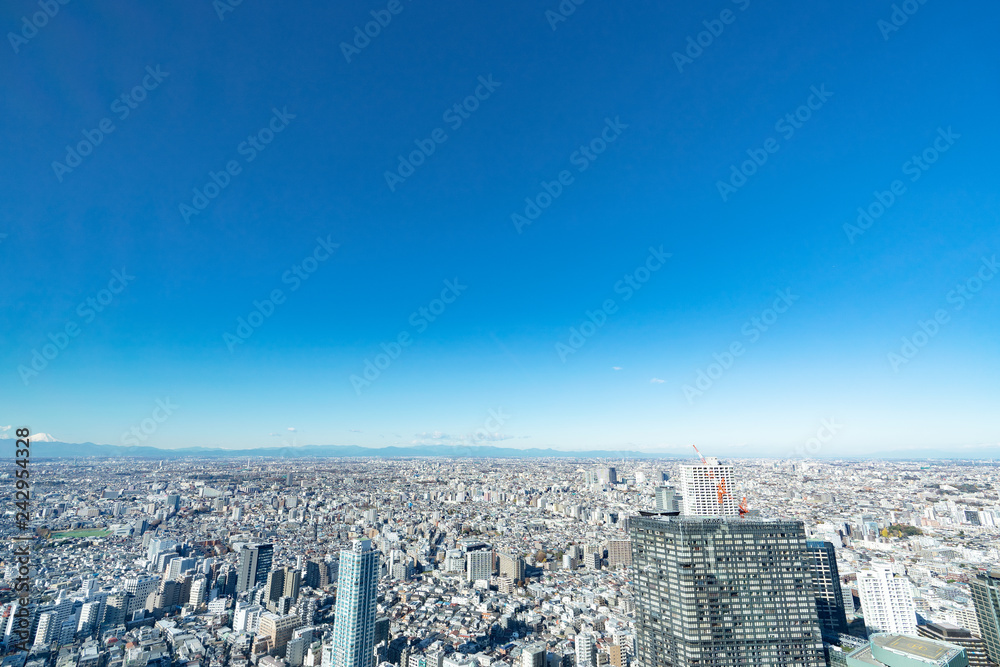 Fototapeta premium Cityscape Tokio