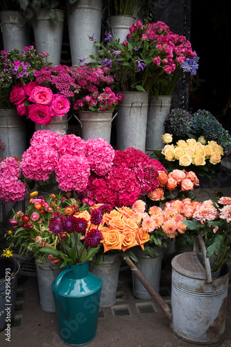 colorful variety of flowers sold in the market in London.