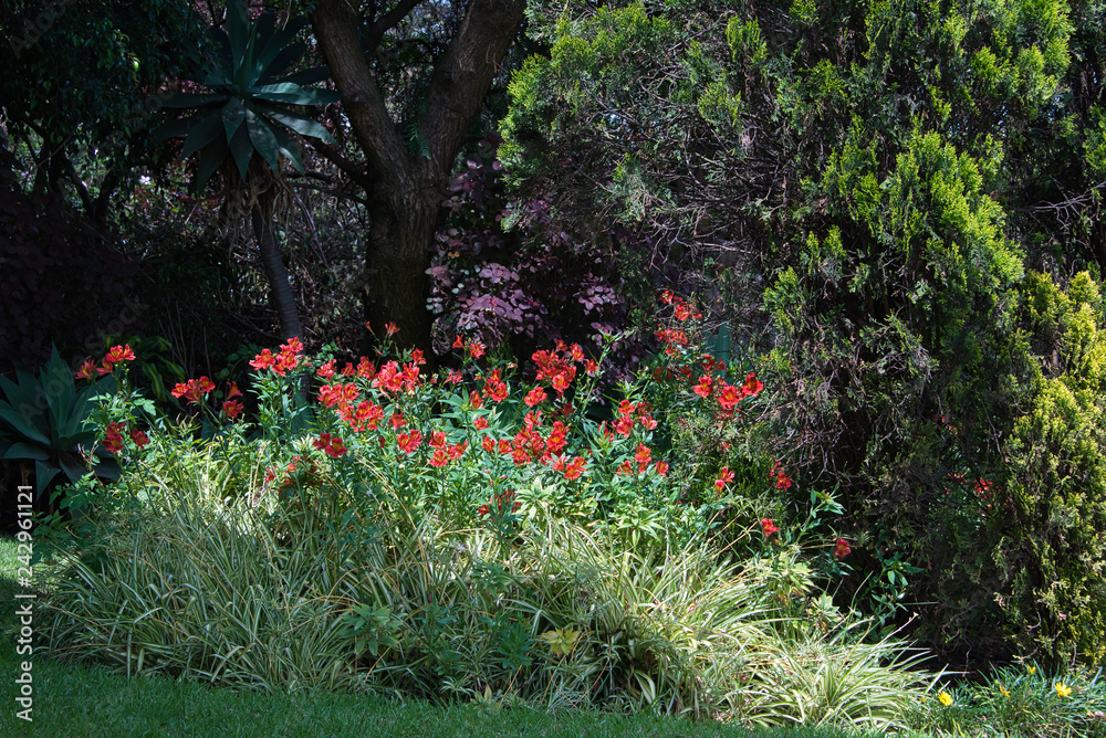 Obraz premium garden idyll