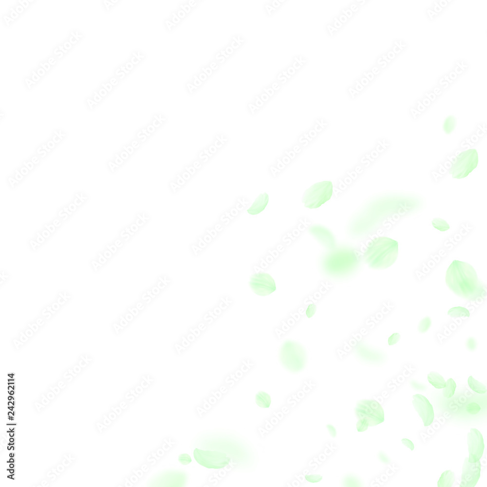Green flower petals falling down. Exotic romantic Green flower petals falling down. Exotic romantic