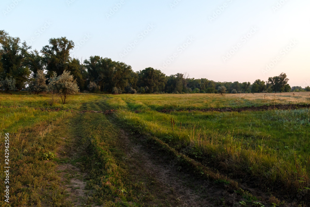 Beautiful landscape with road, green fields, forest and blue sky in the background.