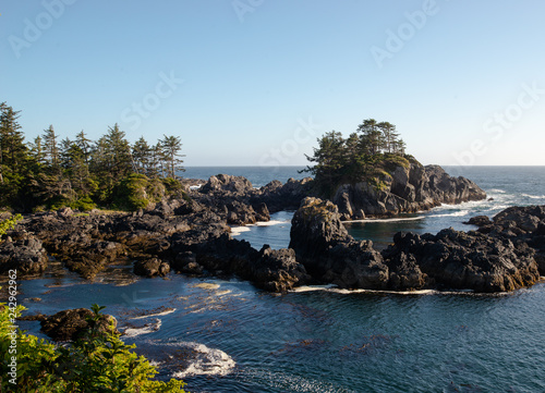 Rainforest meets coast on Vancouver Island