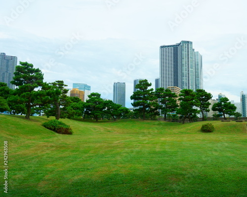 Large and attractive landscape garden in Tokyo. Japanese garden on the background of modern buildings