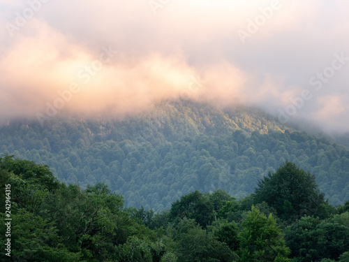 A mountain in thick fog,