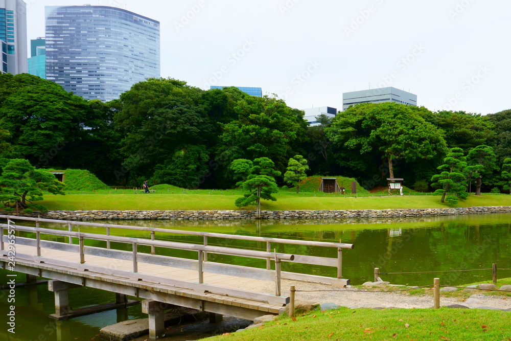 Large and attractive landscape garden in Tokyo. Japanese garden on the background of modern buildings