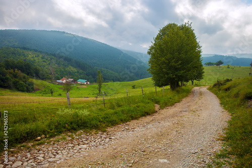 Serene countryside landscape