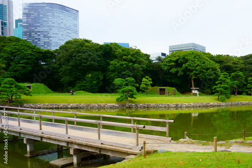Large and attractive landscape garden in Tokyo. Japanese garden on the background of modern buildings © Tatiana
