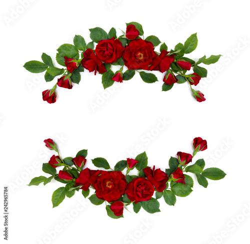 Beautiful frame of red roses and buds on white background with space for text. Top view, flat lay