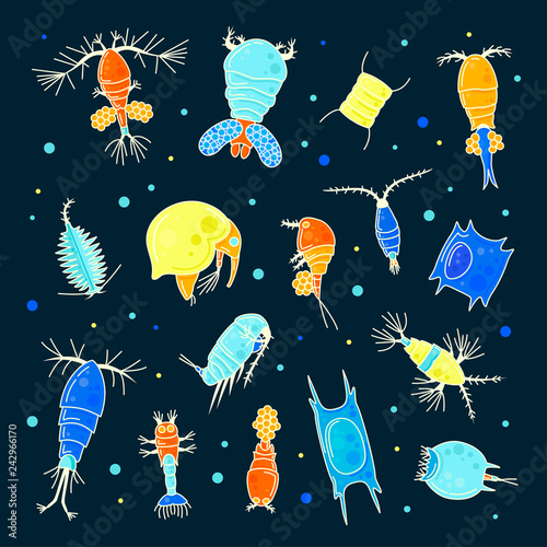 Plankton, collection of bright small water organisms