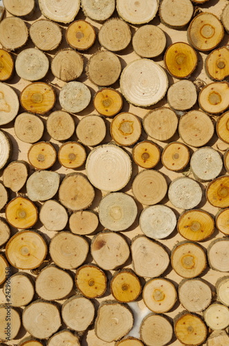 Wooden sawn circles background