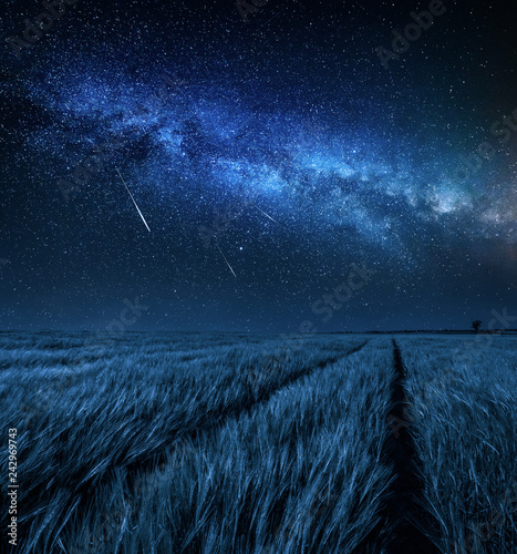 Big and blue milky way over field at night