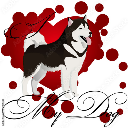 I love my malamute