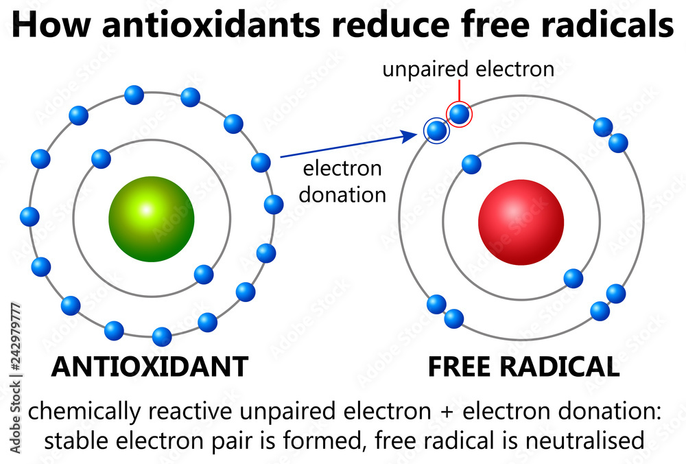 Φωτογραφία Free radical