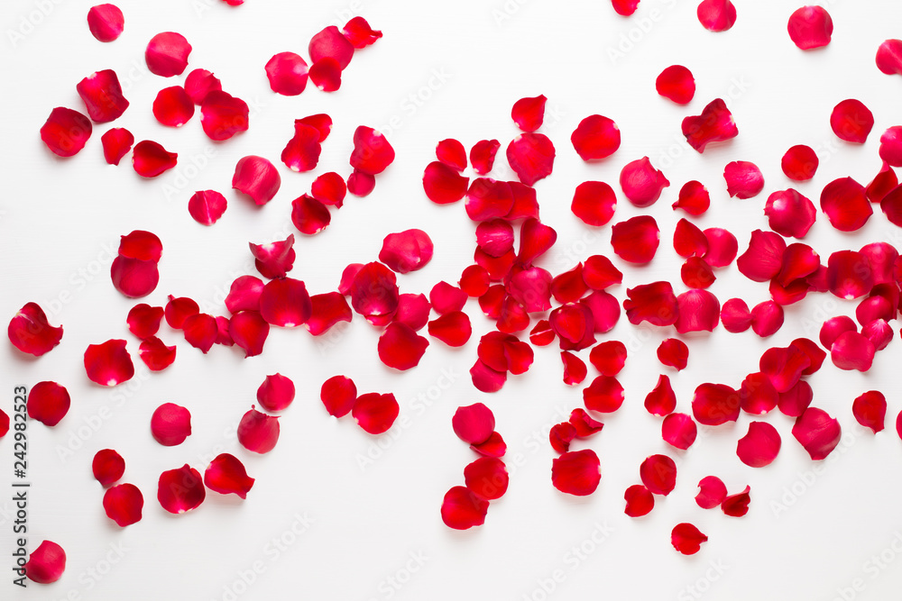 Valentine's Day. Rose flowers petals on white background. Valentines day background. Flat lay, top view, copy space. Valentine's Day. Rose flowers petals on white background. Valentines day background. Flat lay, top view, copy space.