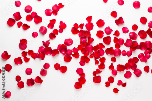 Valentine s Day. Rose flowers petals on white background. Valentines day background. Flat lay  top view  copy space.