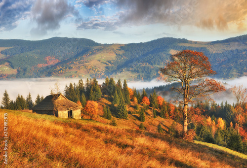 picturesque sunrise in the Carpathian mountains. autumn foggy morning