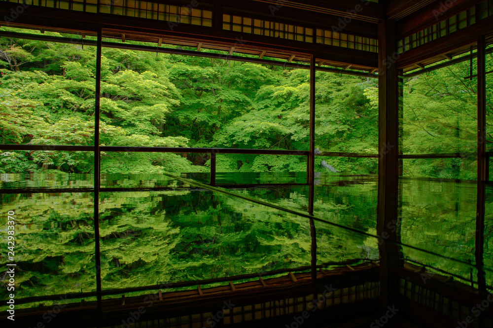 Fototapeta premium 新緑の瑠璃光院