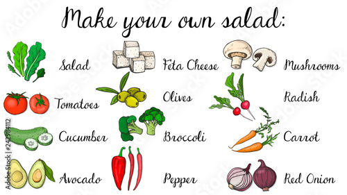Vector Illustration of Salad Menu Template: Salad, Carrot, Radish, Broccoli, Tomatoes, Cucumber, Pepper, Onion, Mushrooms, Feta Cheese, Olives, Avocado