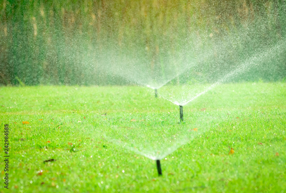 Automatic lawn sprinkler watering green grass. Sprinkler with automatic