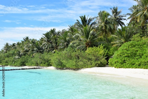 beach in Maledives by Embudu village
