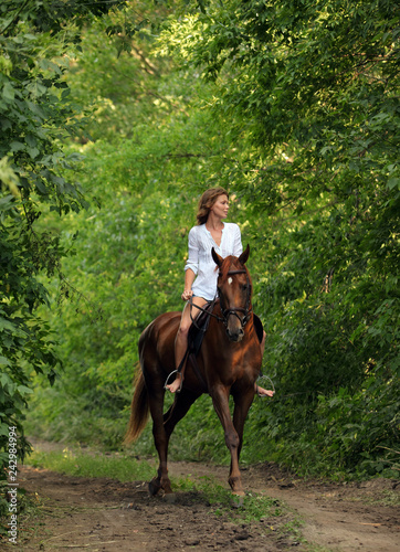 Beautiful equestrian women rides saddle horse in woods glade at sunset © horsemen