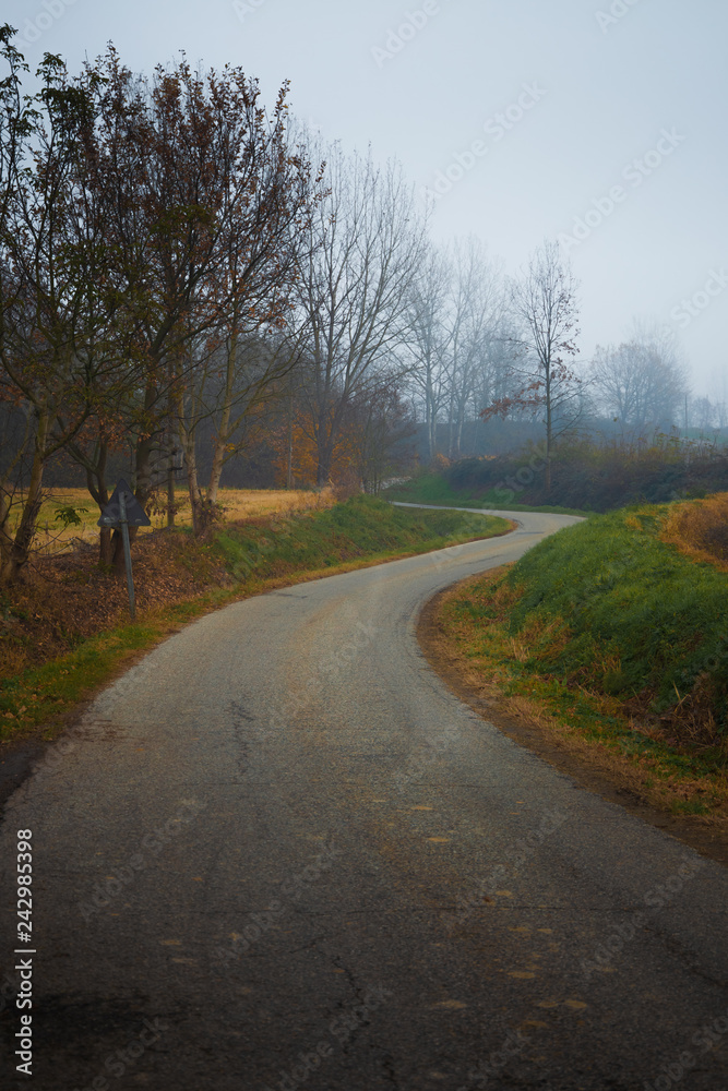 Asphalt country road in autumn with fog