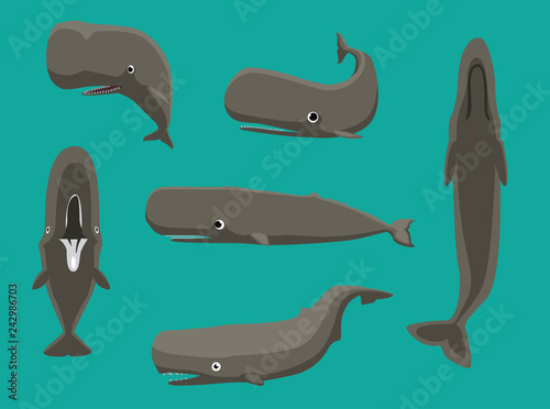 Whale Sperm Various Poses Cartoon Cute Vector