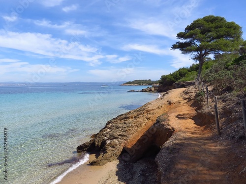 Île de Porquerolles, panorama sur la côte et la mer Méditerranée (France)