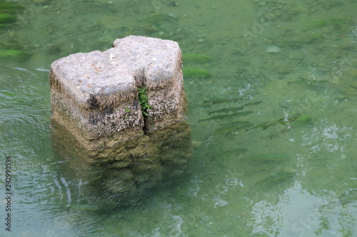 Pfeil aus Stein mit Fischen