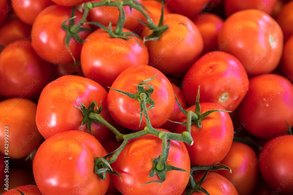 tomatoes on the vine