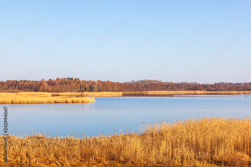 View of lake with reeds
