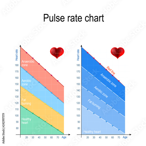 Pulse rate chart for healthy lifestyle. Maximum heart rate.
