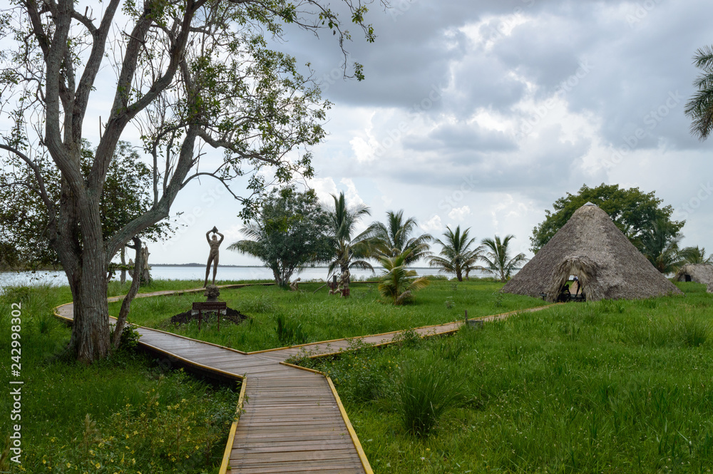 Fototapeta premium Tropical forest in Cuba