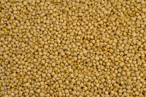 quinoa texture