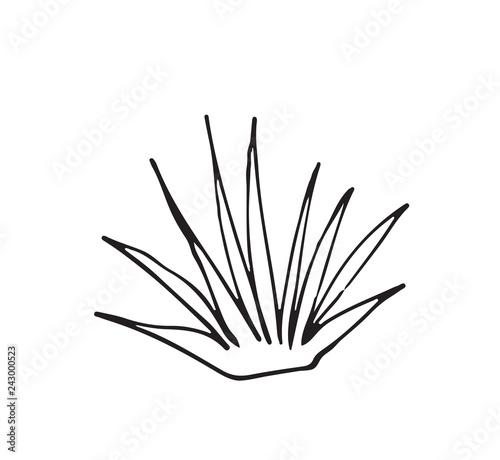 Hand-drawn sketch of a plant  isolated on white background. Abstract summer Vector illustration.
