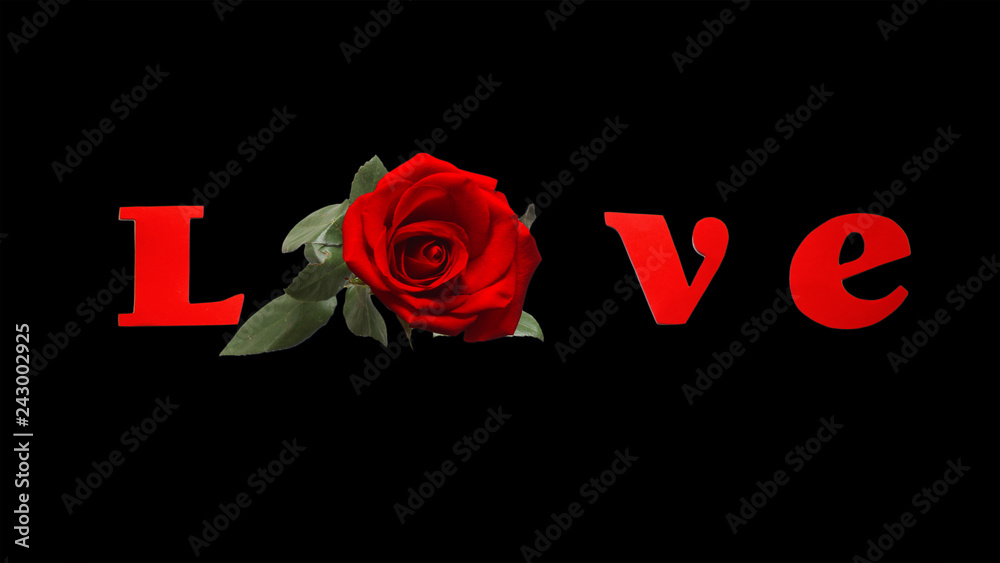 Fototapeta premium The Word LOVE Spelled With Isolated Red letters and Rose on Black Background Perfect for Valentines Day