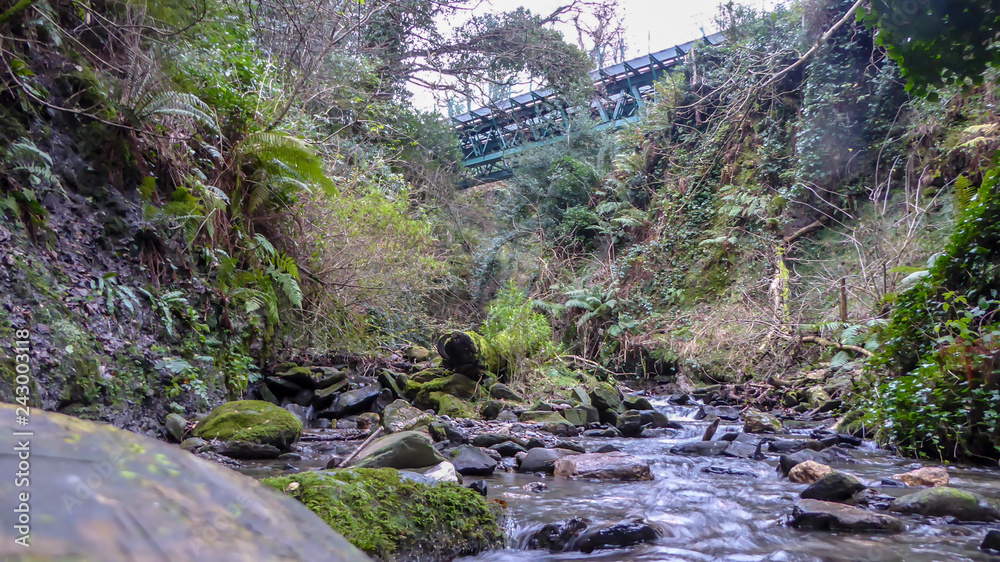stream in forest bridge in the background stream in forest bridge in the background
