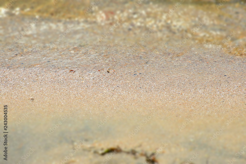 footprints in the sand footprints in the sand