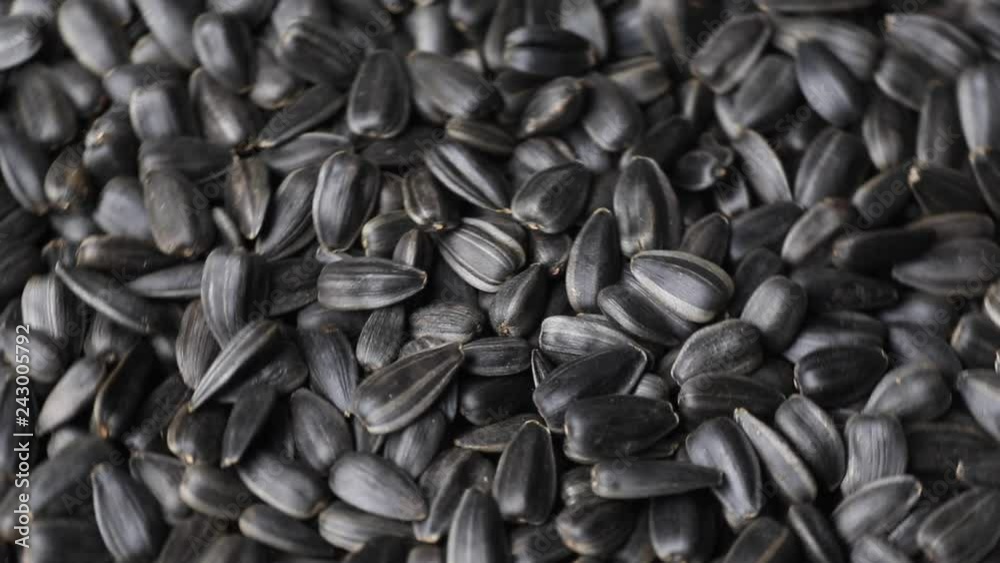 Sunflower seeds, close up, rotation. Top view. Macro. Sunflower seeds, close up, rotation. Top view. Macro.