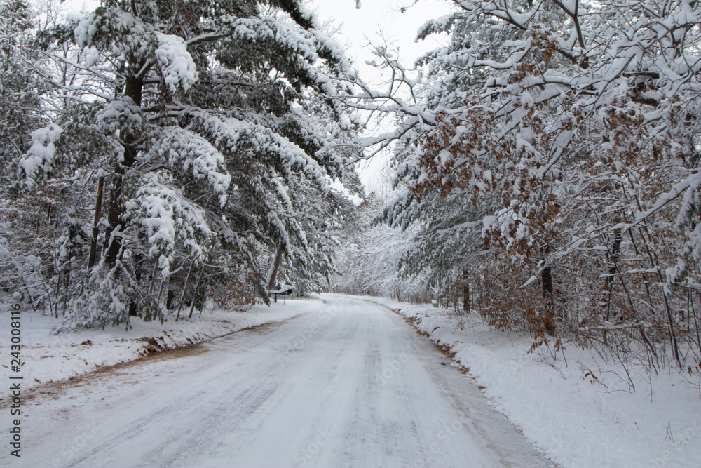 Snowy Road