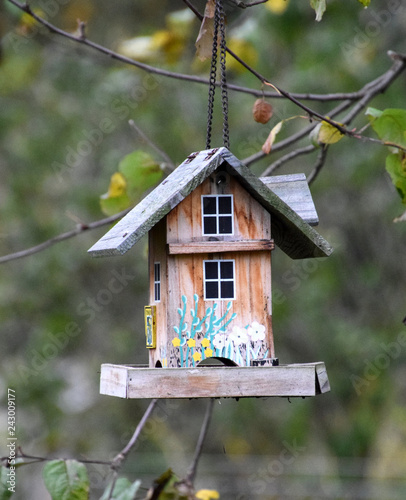 birdhouse hanging on a tree, bird feeder